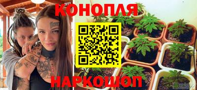 шишки Абакан