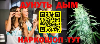 шишки Абакан