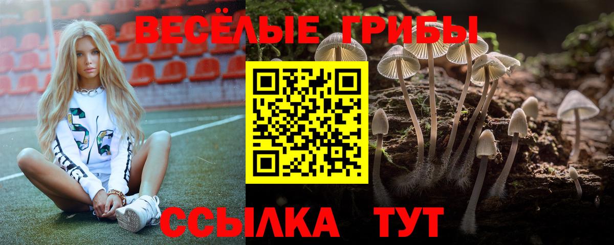 Псилоцибиновые грибы прущие грибы Анжеро-Судженск